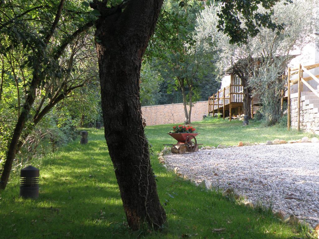 Ca' Spina: Sweet Home in Valpolicella SantʼAmbrogio di Valpolicella Kamer foto